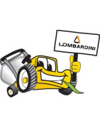 Onderdelen voor Lombardini vindt U bij De Onderdelenshop